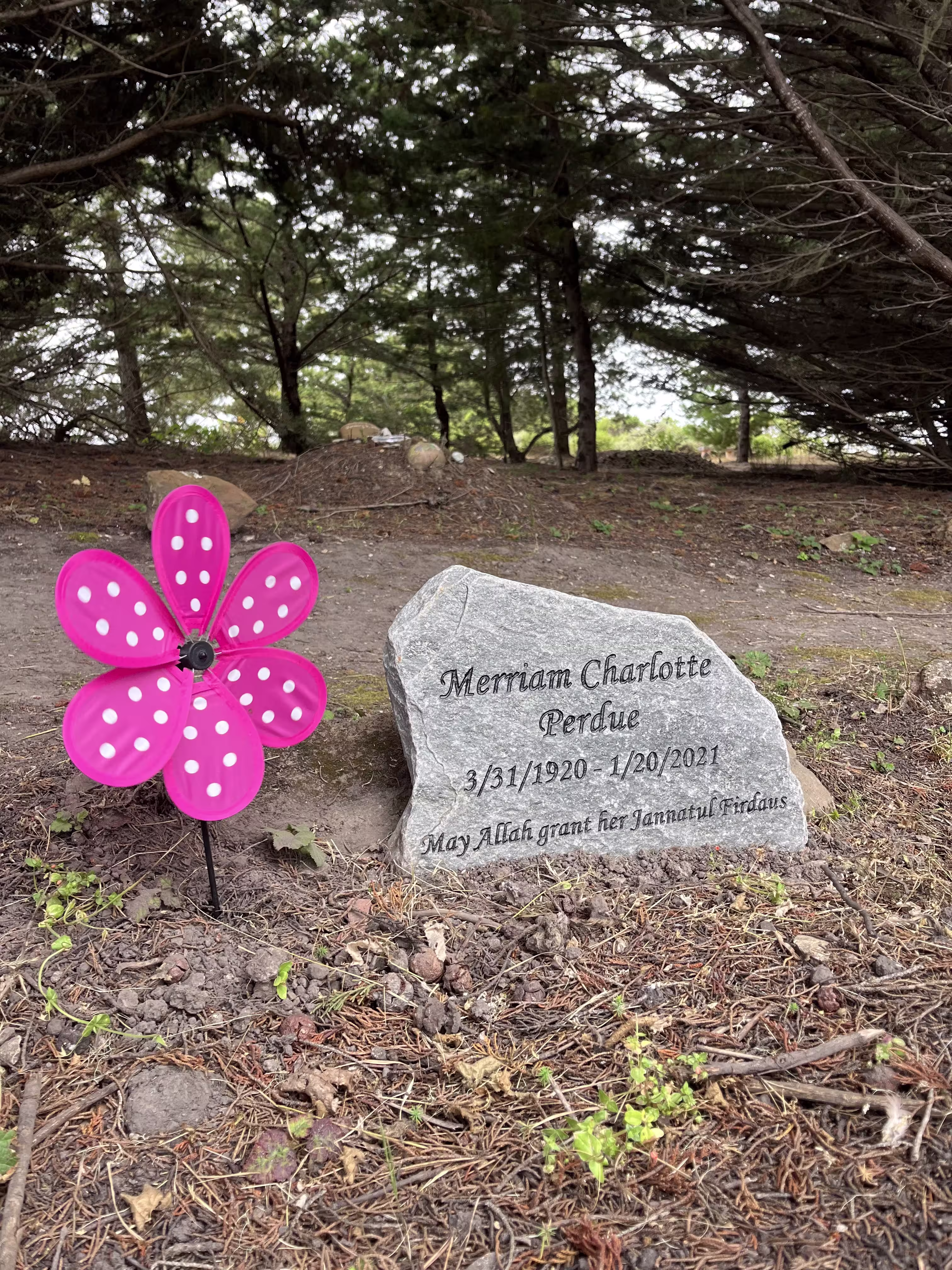 Tombstone 24